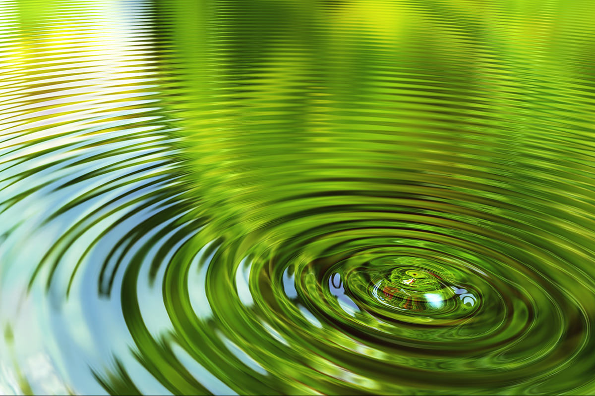 Ring waves of a water drop with nature reflections
