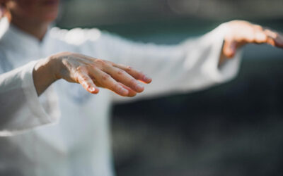 AIQI – Qigong mit Leo Führen